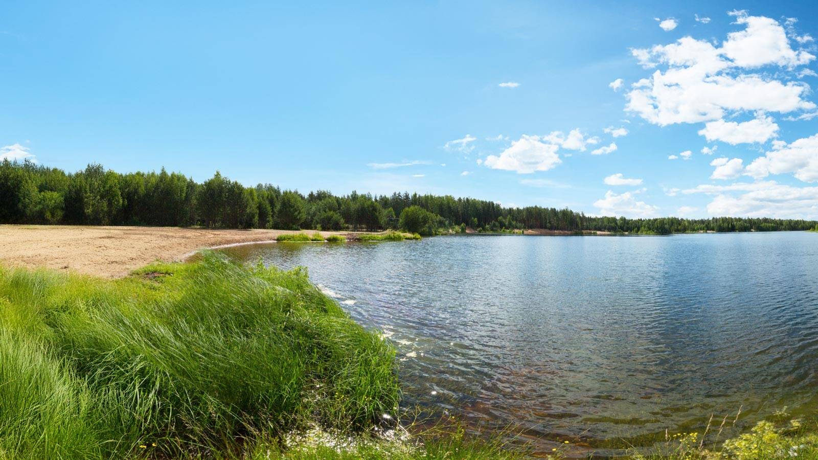 etang-de-cousseau